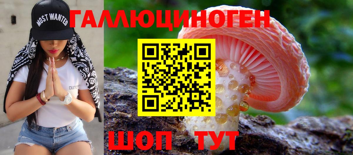 закладка  Псилоцибиновые грибы Psilocybe  Вход с VPN  Тосно 