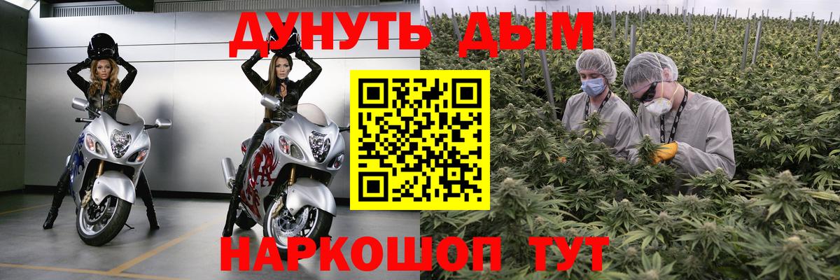 Бошки Шишки гибрид  Бошки Шишки ГИДРОПОН  Вход с VPN  МАРИХУАНА White Widow  Тосно  Каннабис индика 